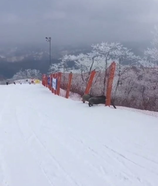 KakaoTalk_20180627_153052752.jpg