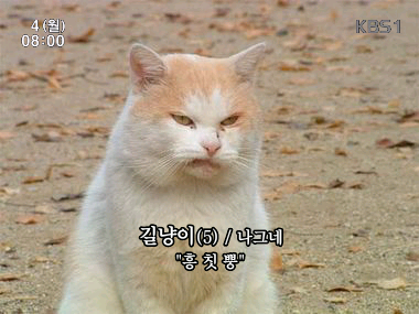 흥칫뿡.png