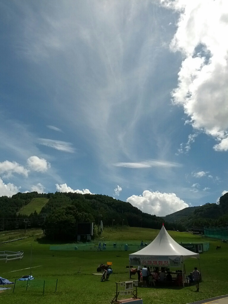 CYMERA_20120826_131131.jpg