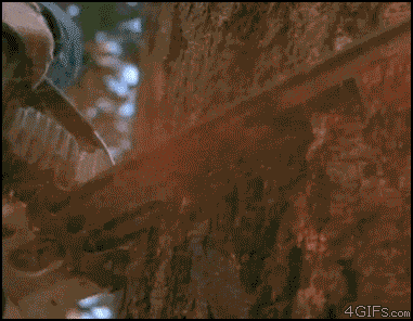 상남자 척노리스.gif
