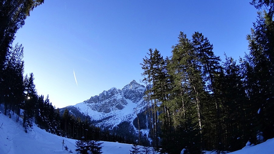 DSC02040.JPG