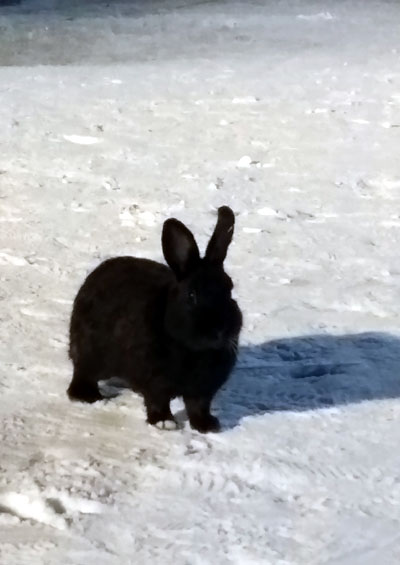20150207_025318.jpg