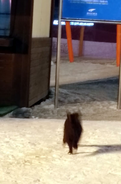 20150207_025314.jpg