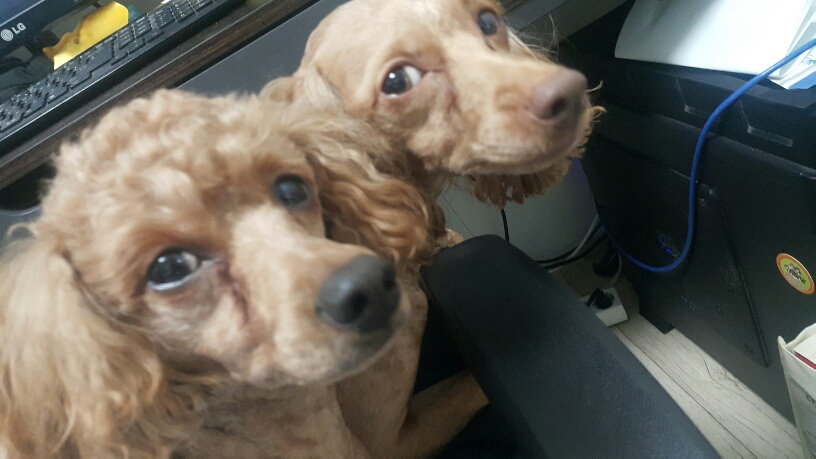 20160921_223521_resized.jpg