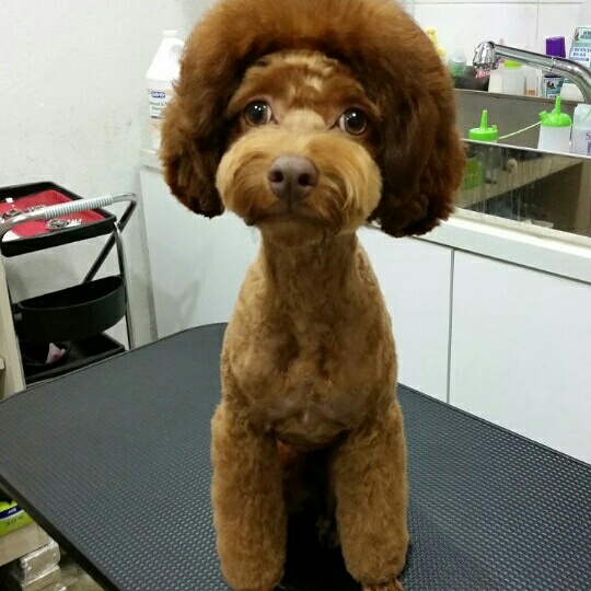 KakaoTalk_20160328_182022983.jpg