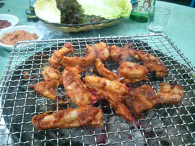 2011-01-29 21.58.12.jpg