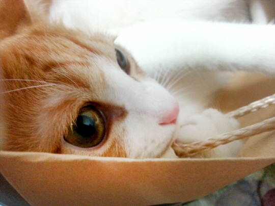 20130225_214803_retouching.jpg