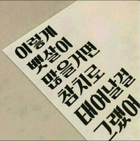 참치.png
