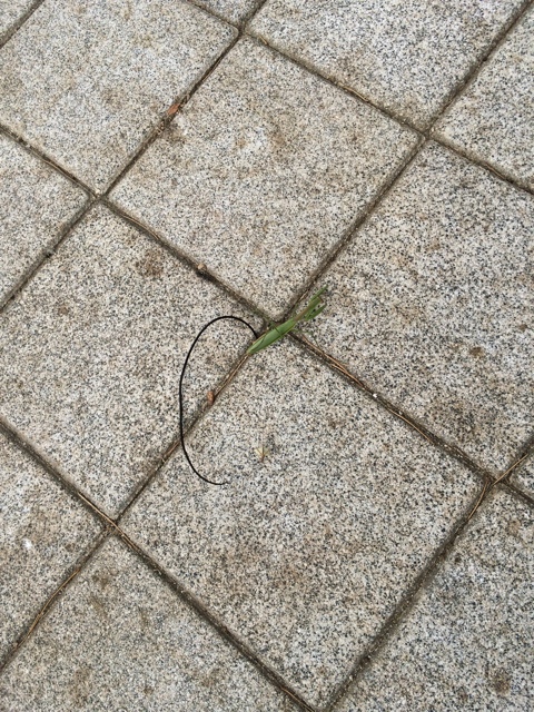 20141003_113124_03.jpg