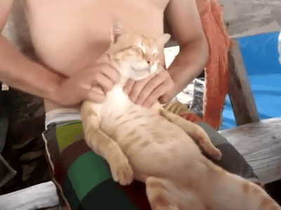 tumblr_n0q9kbbti41qbyxr0o1_400.gif