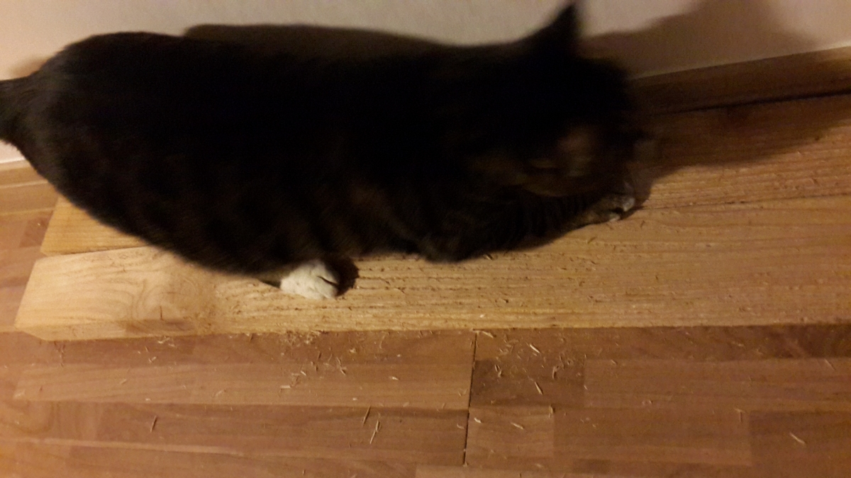20151120_232126.jpg