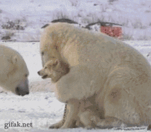 야 참어 참는게 이기는거야.gif