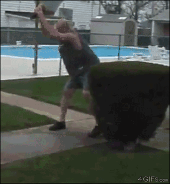 콜라의 위험성.gif