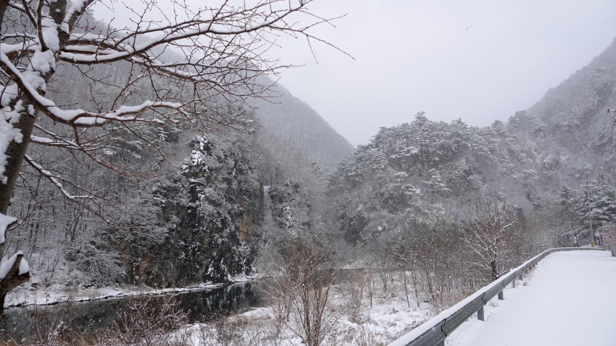 qqqq[꾸미기]DSC01802.JPG