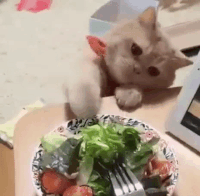 369.gif