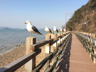 크기변환_크기변환_IMG_6214.JPG