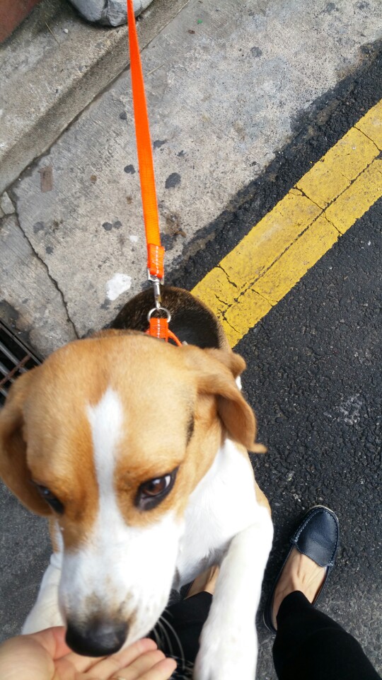 KakaoTalk_20161026_085416780.jpg