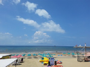 20130816_125220.jpg
