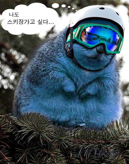 ah.jpg