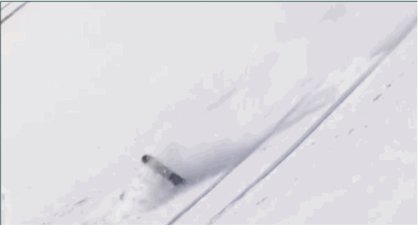 rome-shred-remains-barrel-roll.gif