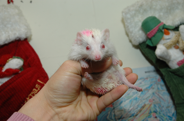 reee-DSC_6643.JPG
