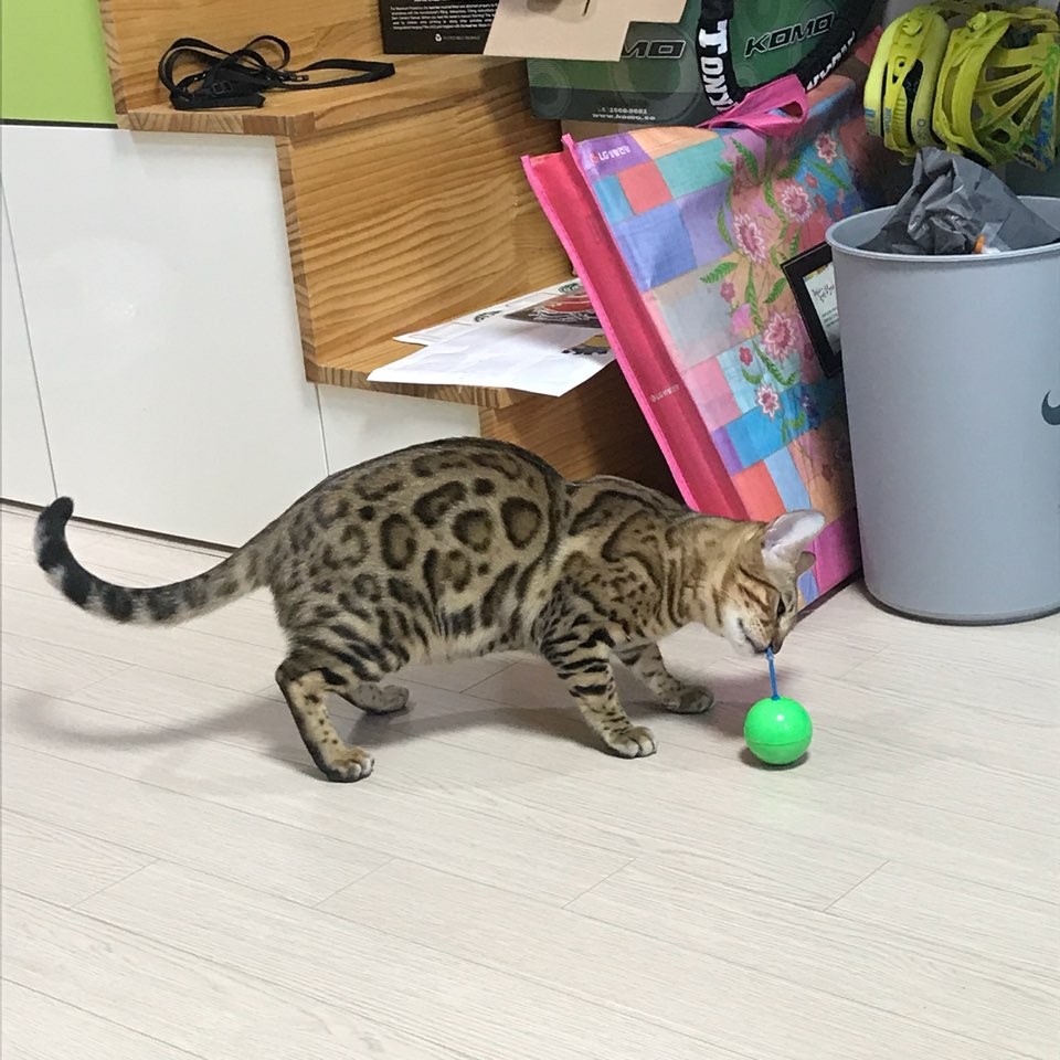 KakaoTalk_20171029_100442801.jpg