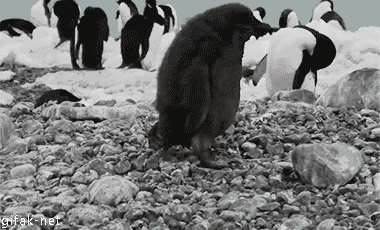 범ㅇ닌 과음.gif