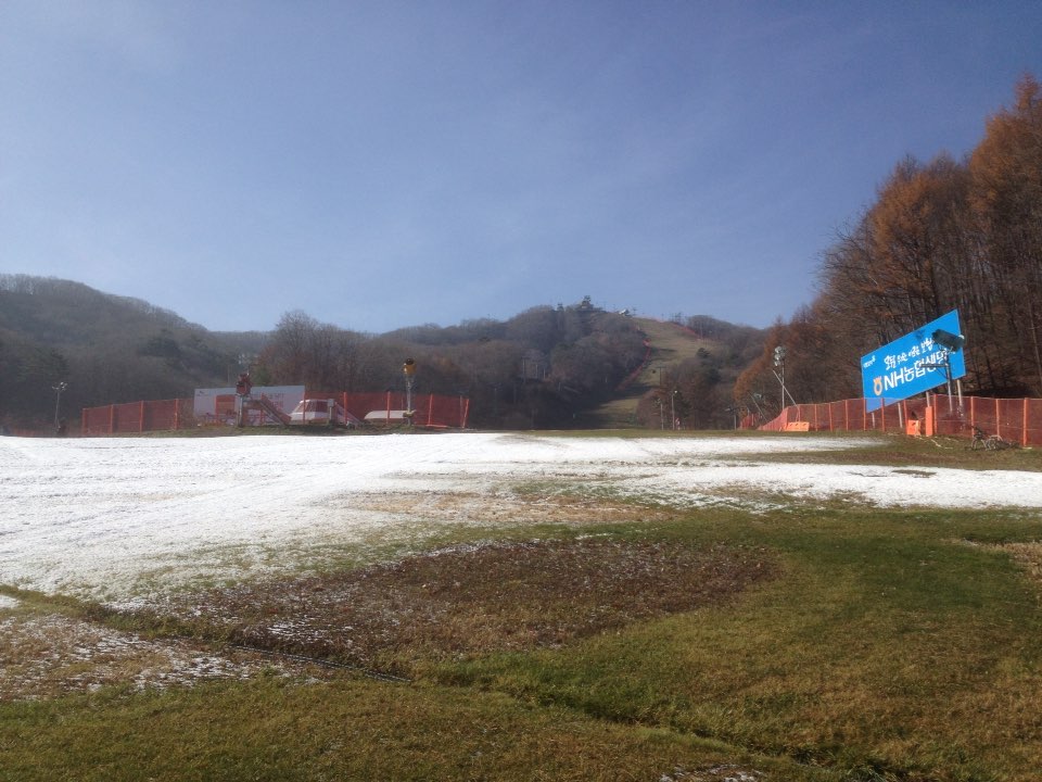 KakaoTalk_20141111_170002560.jpg