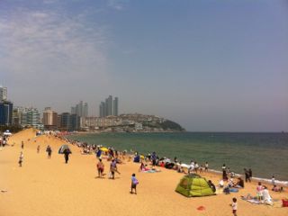 IMG_4865.jpg