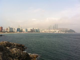 IMG_4881.jpg
