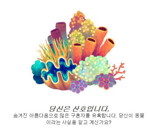 나는산호.jpg