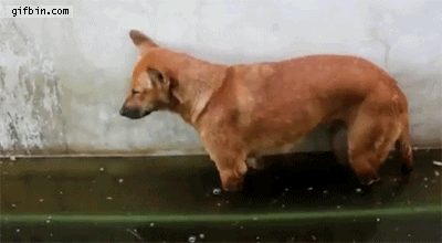 졸앗네..gif