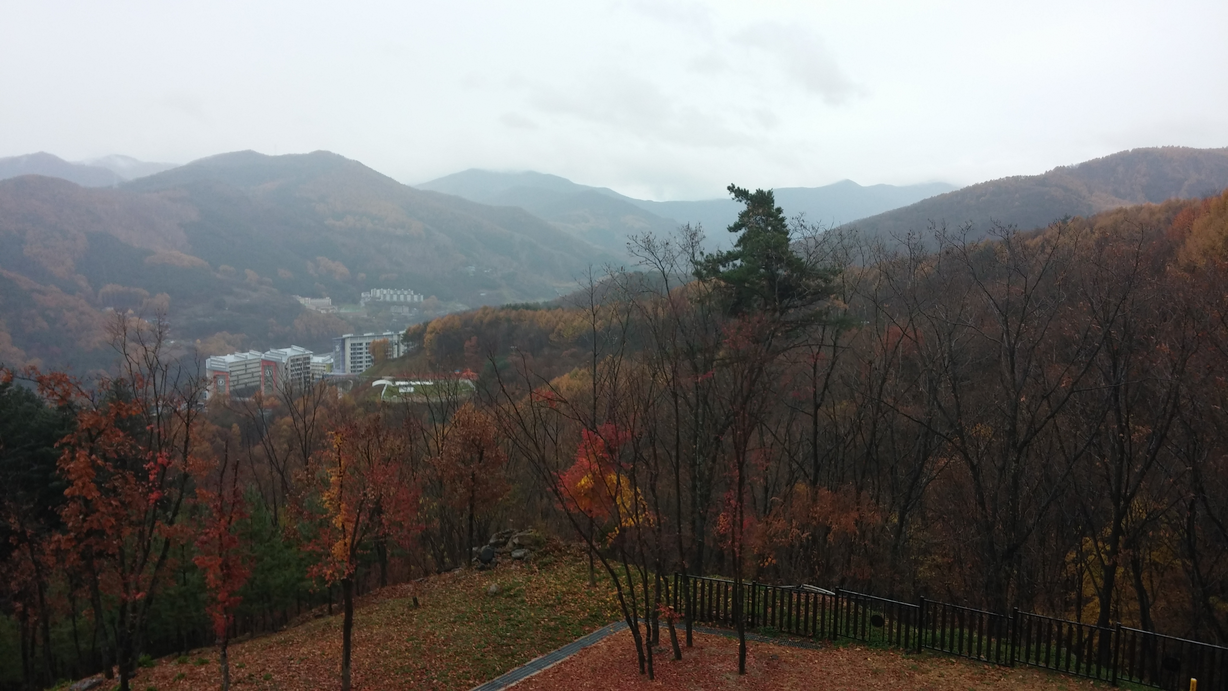 20141031_153203.jpg