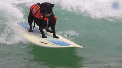 fb8e9681a7804671ba0477d09f121b32.gif