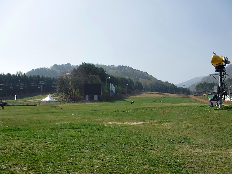 DSCF1062.JPG