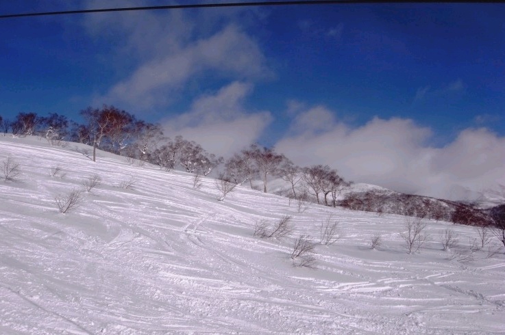 2012-01-12 10;51;52.jpg