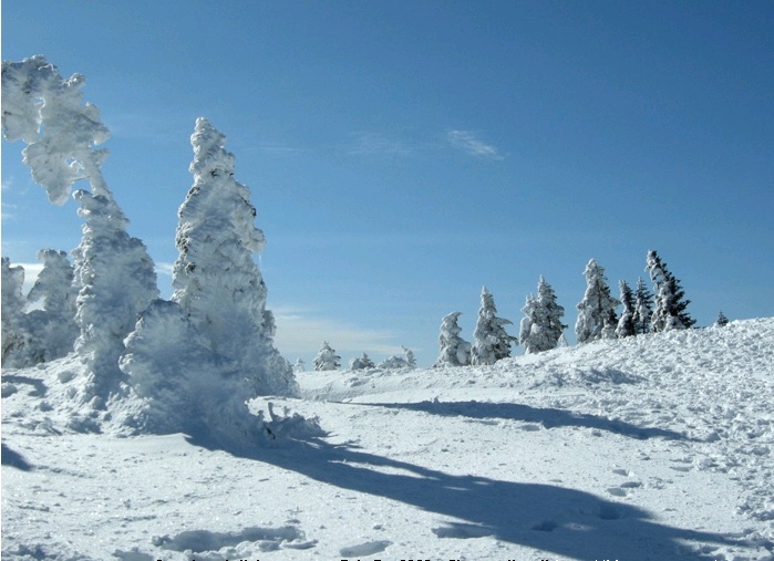 2012-01-12 10;57;23.jpg