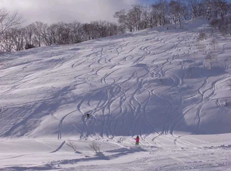 2012-01-12 10;52;06.jpg