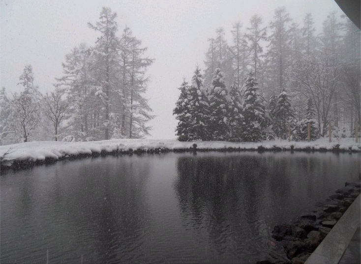 2012-01-12 11;22;06.jpg
