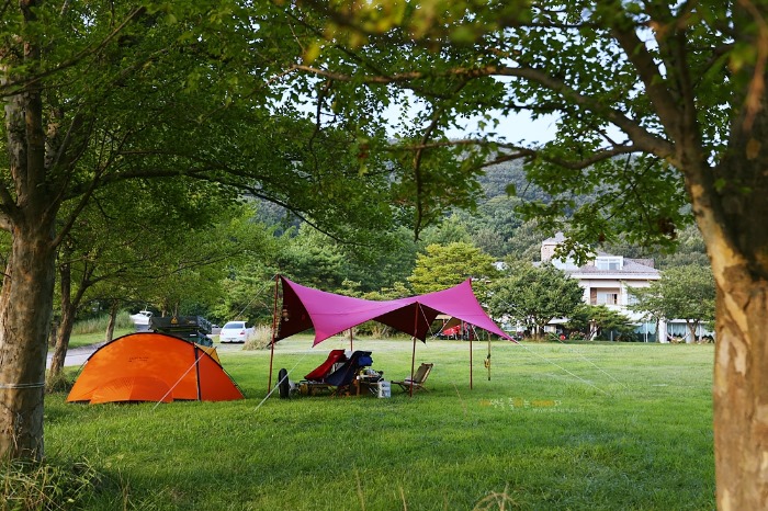 image_2200964741470645844640.jpg