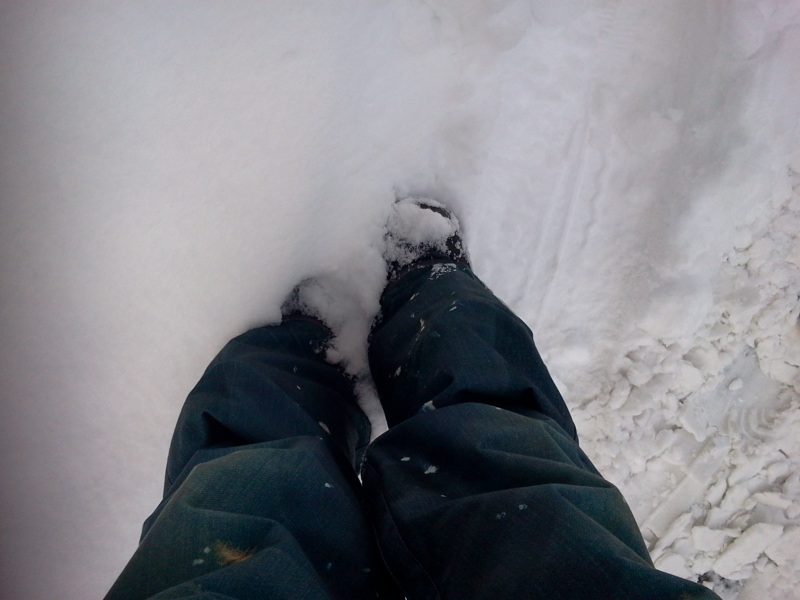2013-02-04 08.53.31.jpg
