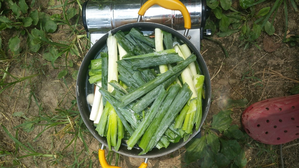 천렵2.jpg