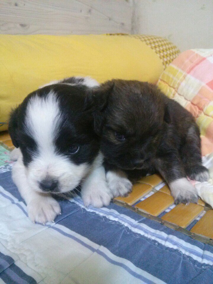 KakaoTalk_20150715_170138051.jpg