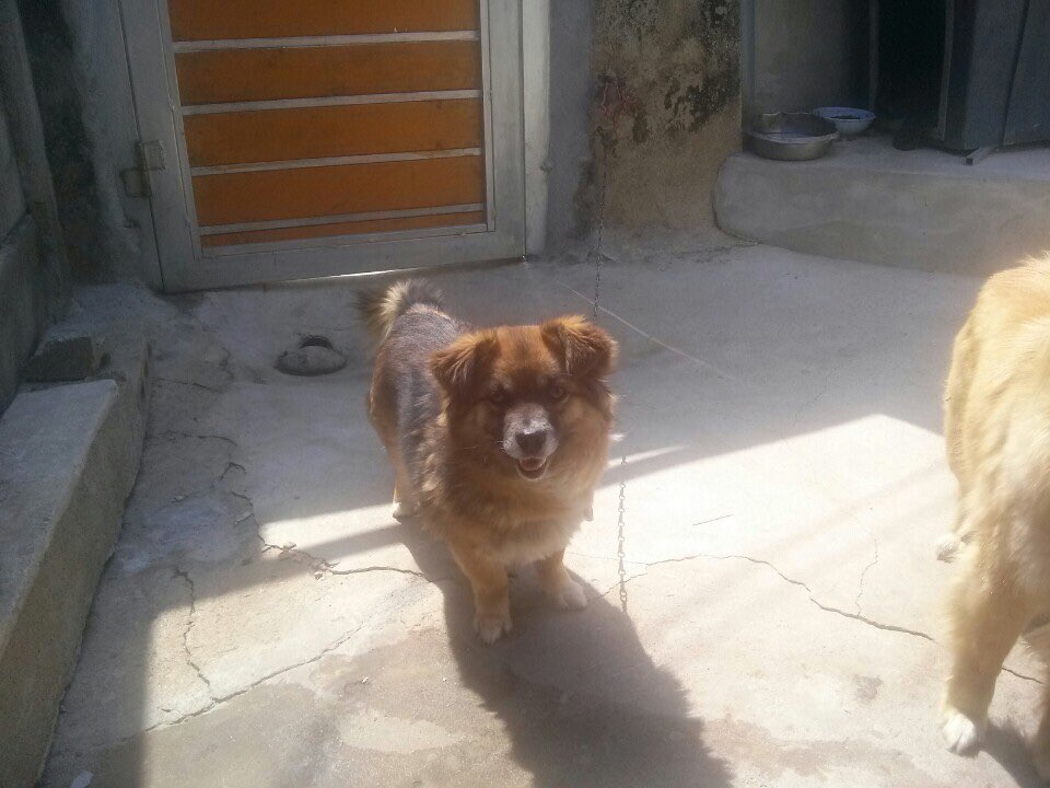 KakaoTalk_20150715_165814642.jpg