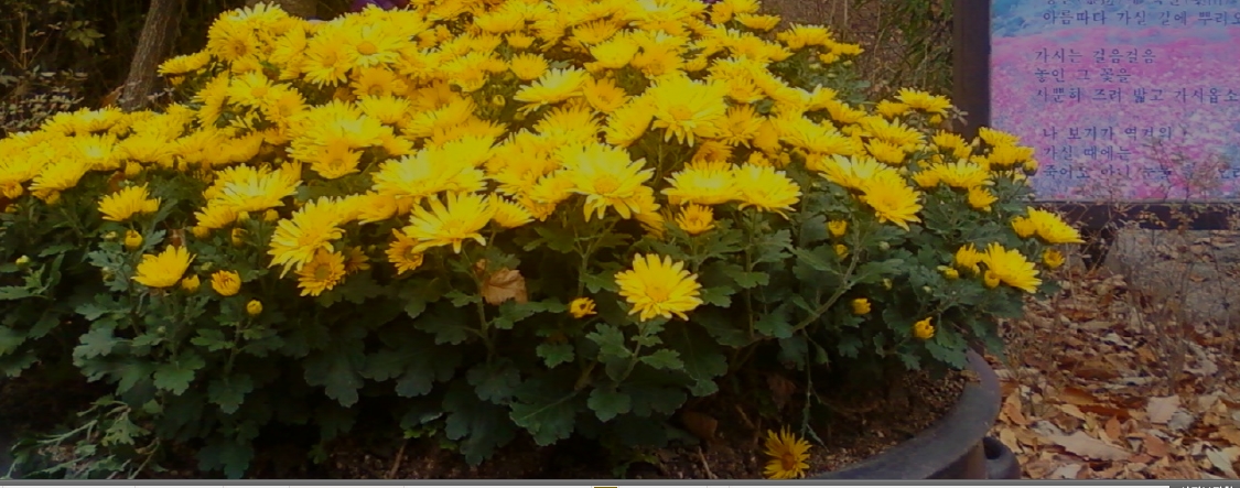 20150306_110955.jpg