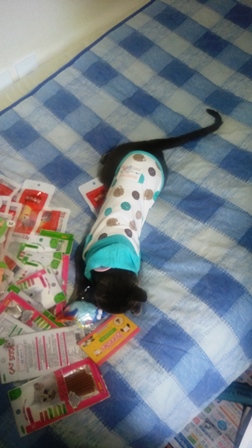 20150910_131503.jpg