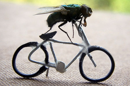 fly-bike2.jpg