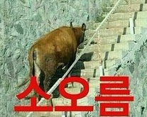 소오름.jpg