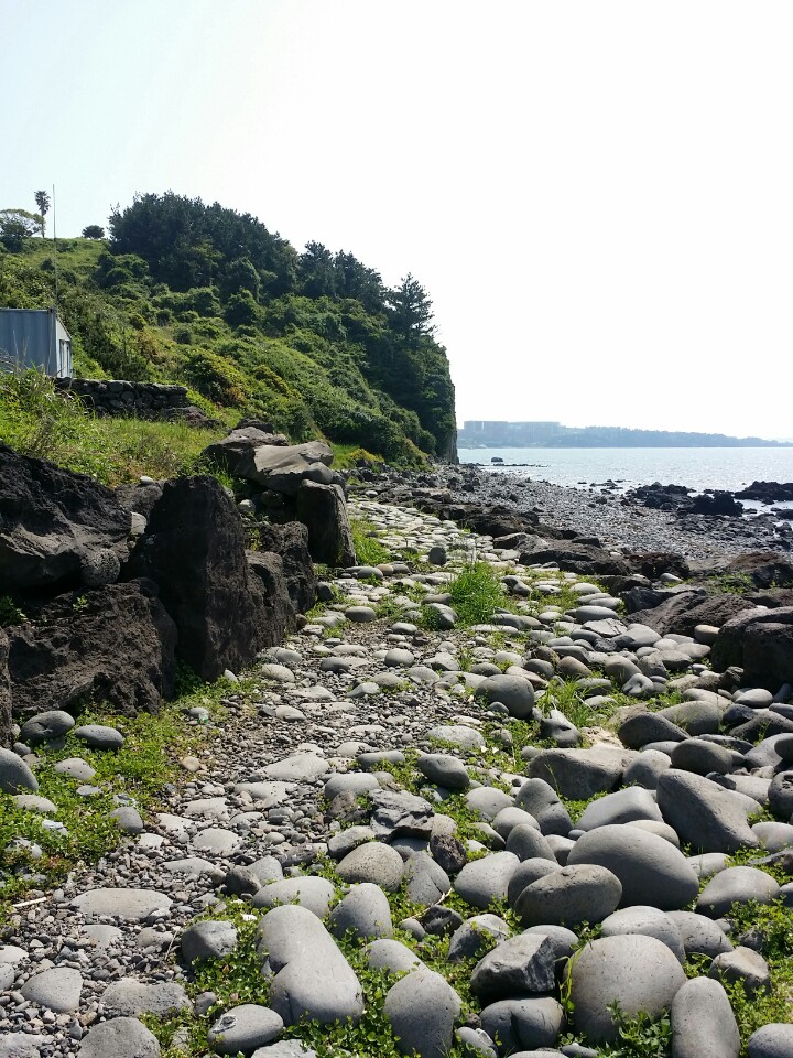 KakaoTalk_20150508_171214192.jpg