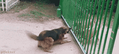 ee33f746afd3b980c6dda2f7ddfdb47a.gif
